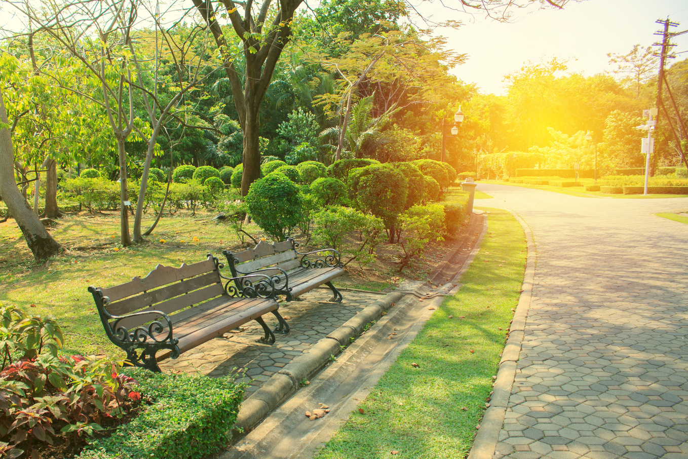 Bench in beautiful city park