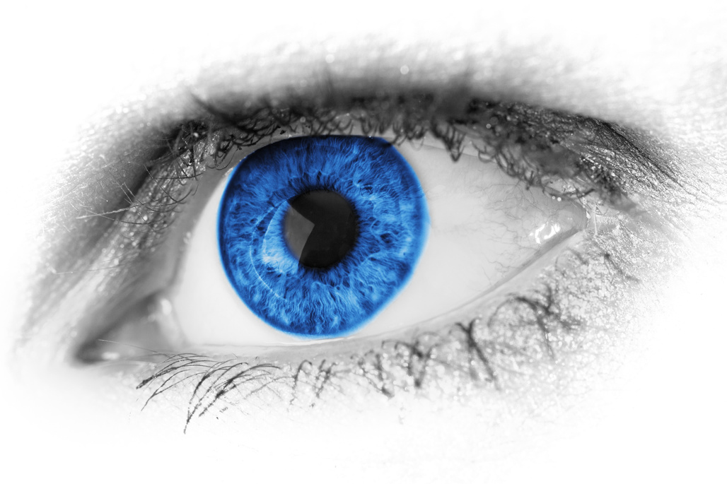 Blue Female Eye